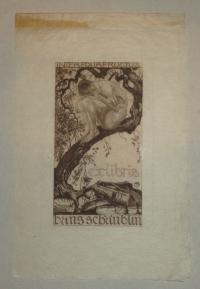 Soder, Alfred: Ex libris Hans Schäublum