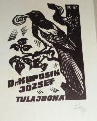 Fery Antal: Dr. Kupcsek József tulajdona