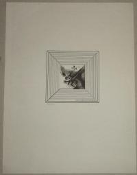 Jakubowski, Wojciech: Etching